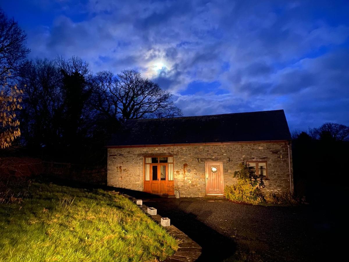 Cae'R Beili Villa Llandovery Exterior photo