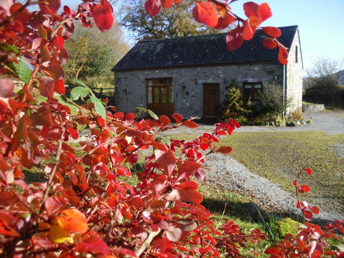Cae'R Beili Villa Llandovery Exterior photo